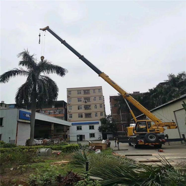 滦南县汽车吊出租多少钱？全面解析与市场行情